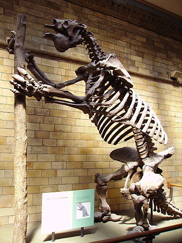 Illustration for article titled Did The Giant Sloth Die Out Less Than 150 Years Ago?
